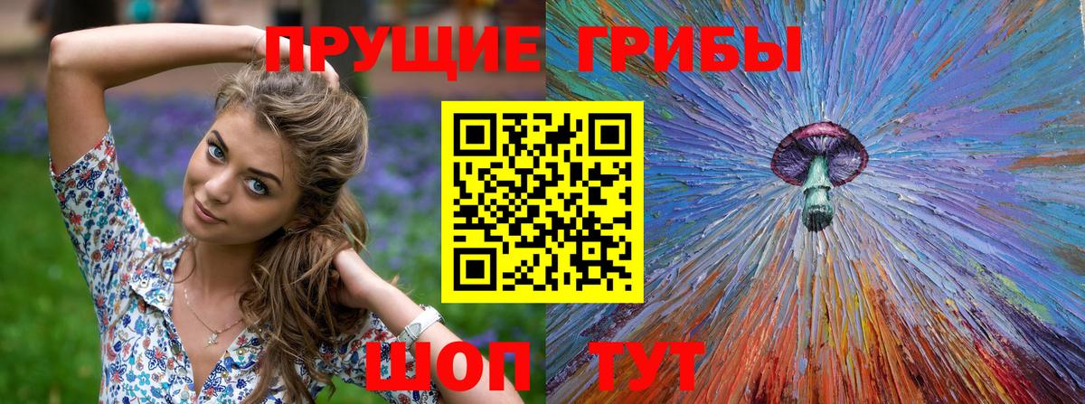 Дмитров  Галлюциногенные грибы мухоморы  Вход с VPN  Псилоцибиновые грибы мухоморы 