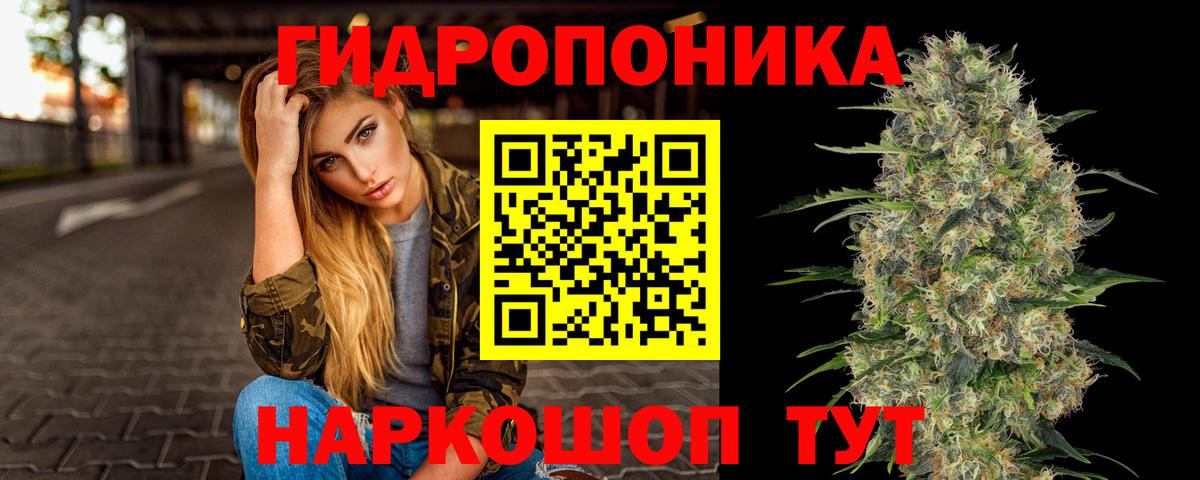 Бошки Шишки VHQ  МАРИХУАНА Bruce Banner  Конопля THC 21%  Дмитров  Вход с VPN 